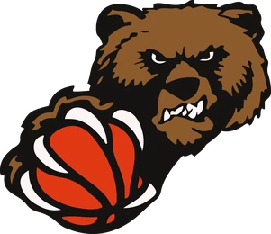 VSC Baskets Donauwörth